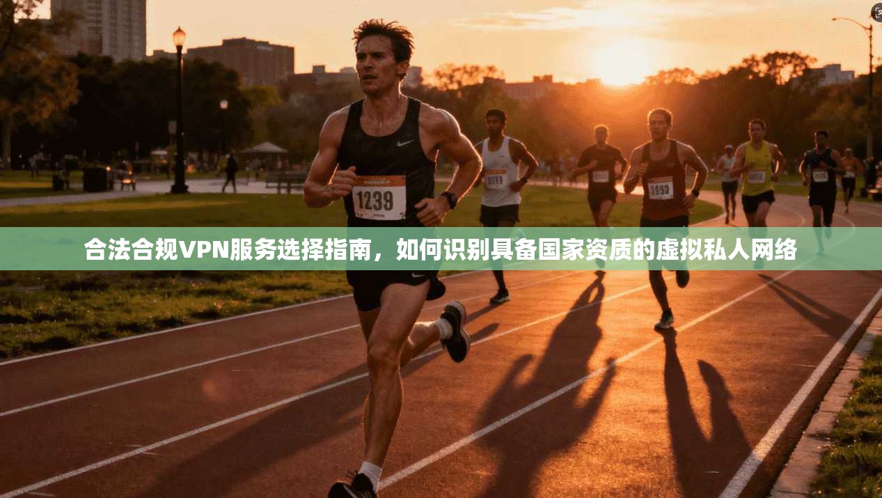 合法合规VPN服务选择指南，如何识别具备国家资质的虚拟私人网络