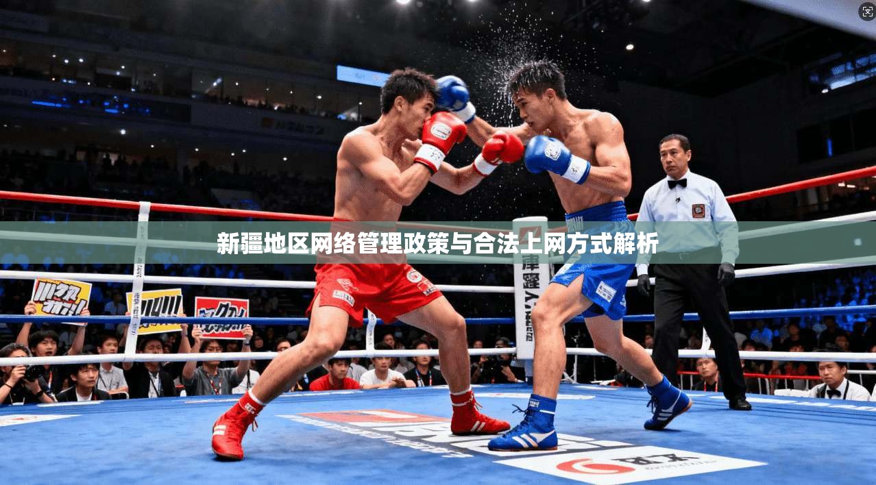 新疆地区网络管理政策与合法上网方式解析