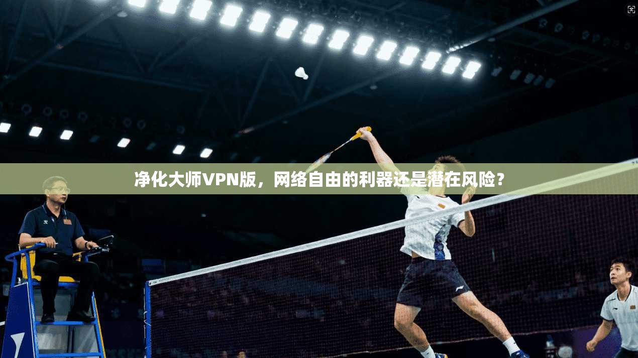 净化大师VPN版，网络自由的利器还是潜在风险？