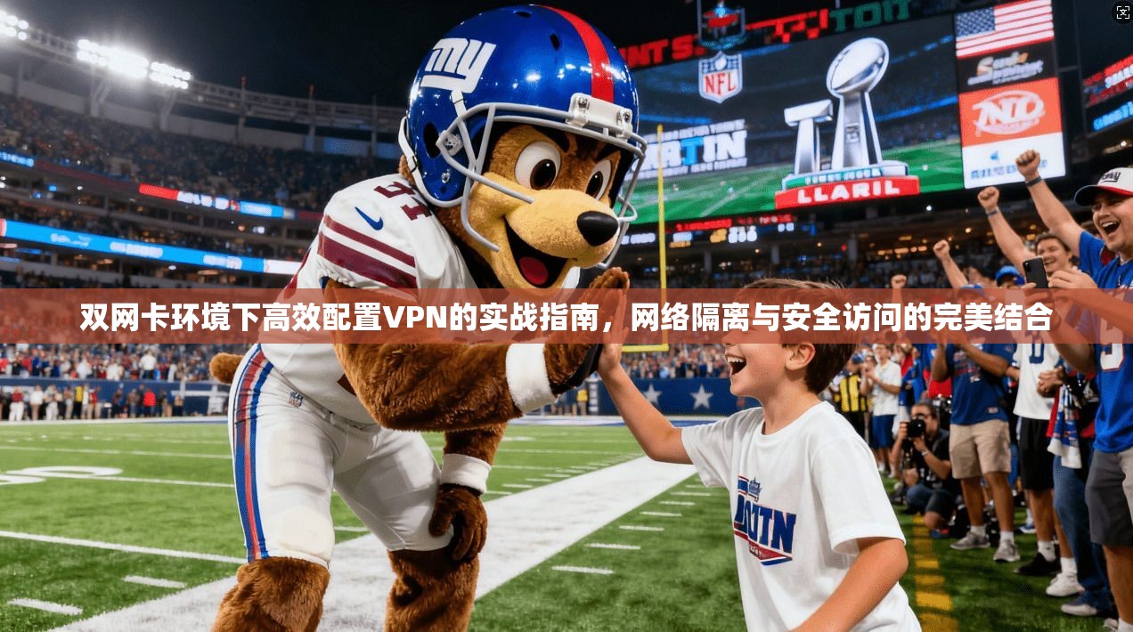 双网卡环境下高效配置VPN的实战指南，网络隔离与安全访问的完美结合