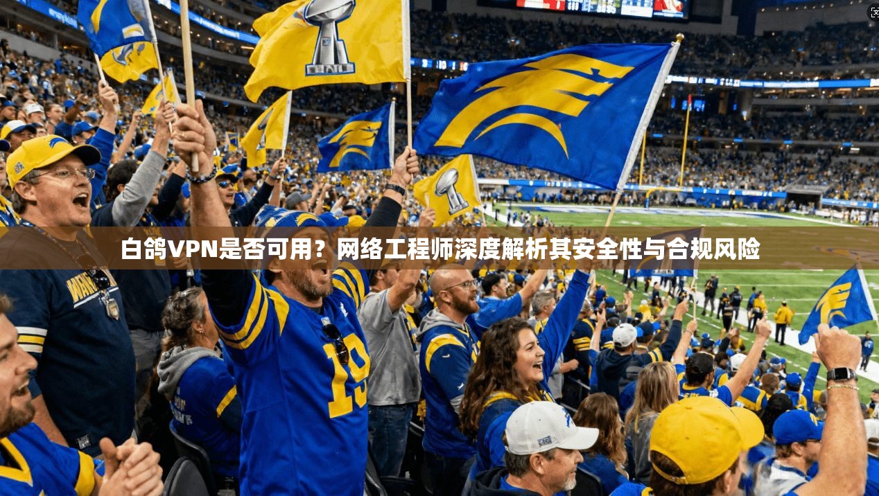 白鸽VPN是否可用？网络工程师深度解析其安全性与合规风险