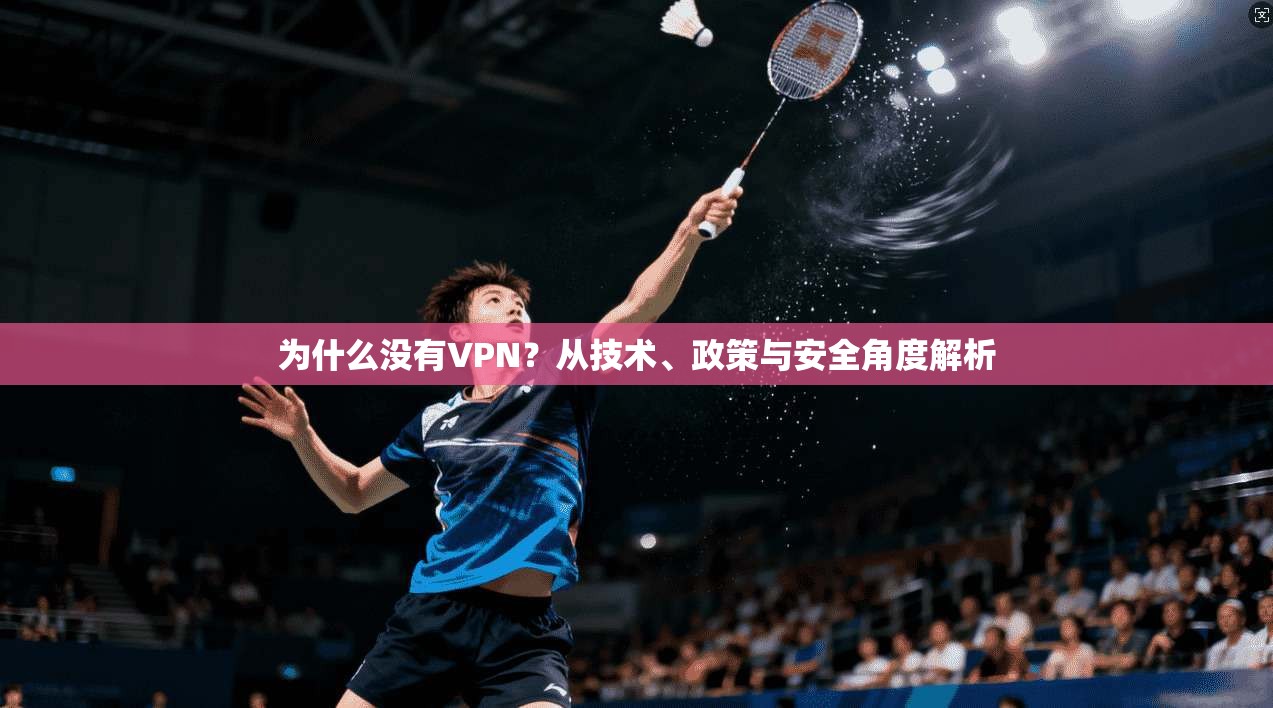 为什么没有VPN？从技术、政策与安全角度解析