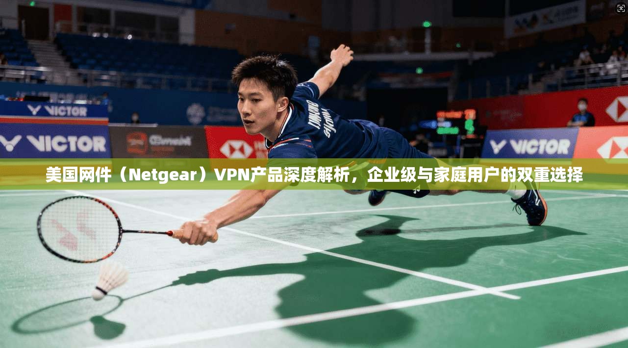 美国网件（Netgear）VPN产品深度解析，企业级与家庭用户的双重选择