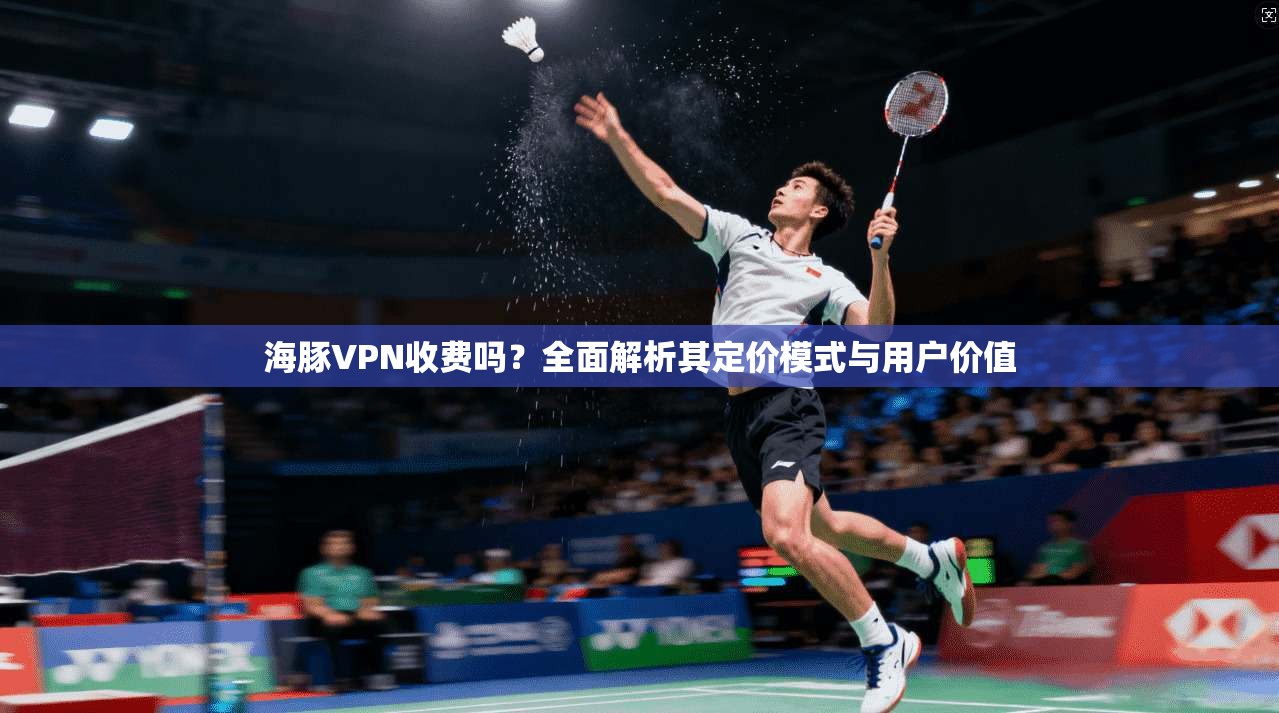 海豚VPN收费吗？全面解析其定价模式与用户价值