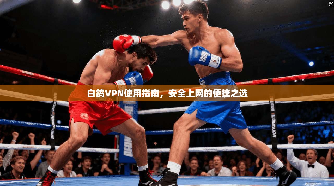 白鸽VPN使用指南，安全上网的便捷之选