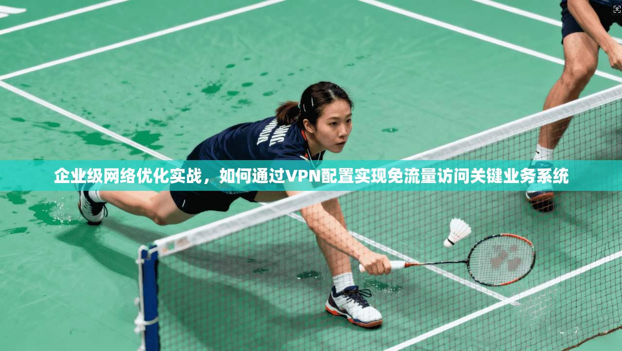 企业级网络优化实战，如何通过VPN配置实现免流量访问关键业务系统