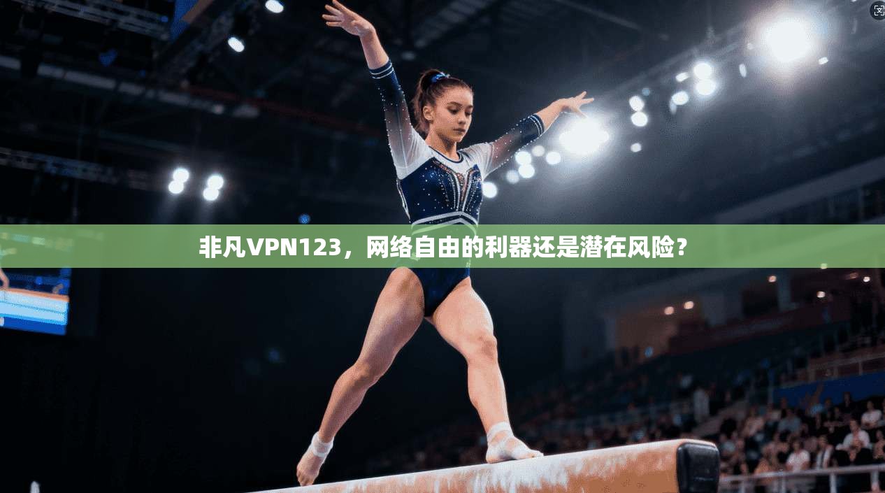 非凡VPN123，网络自由的利器还是潜在风险？