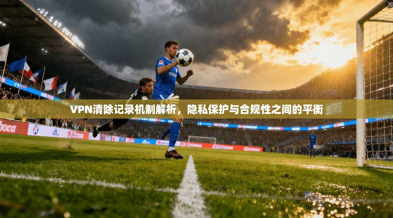 VPN清除记录机制解析，隐私保护与合规性之间的平衡