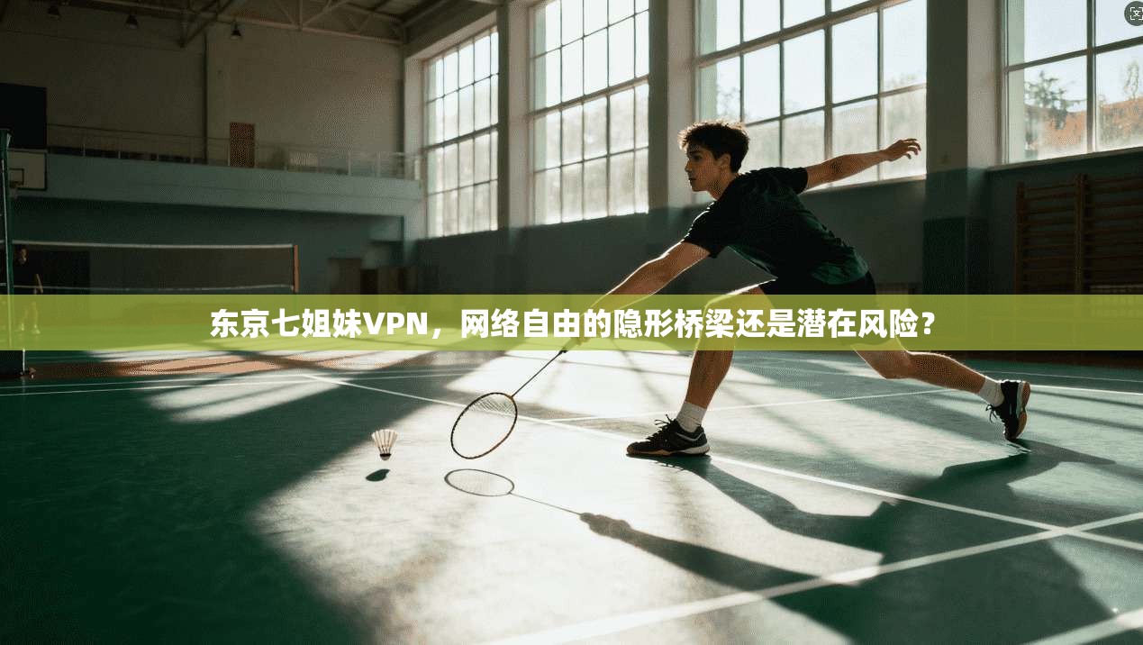 东京七姐妹VPN，网络自由的隐形桥梁还是潜在风险？