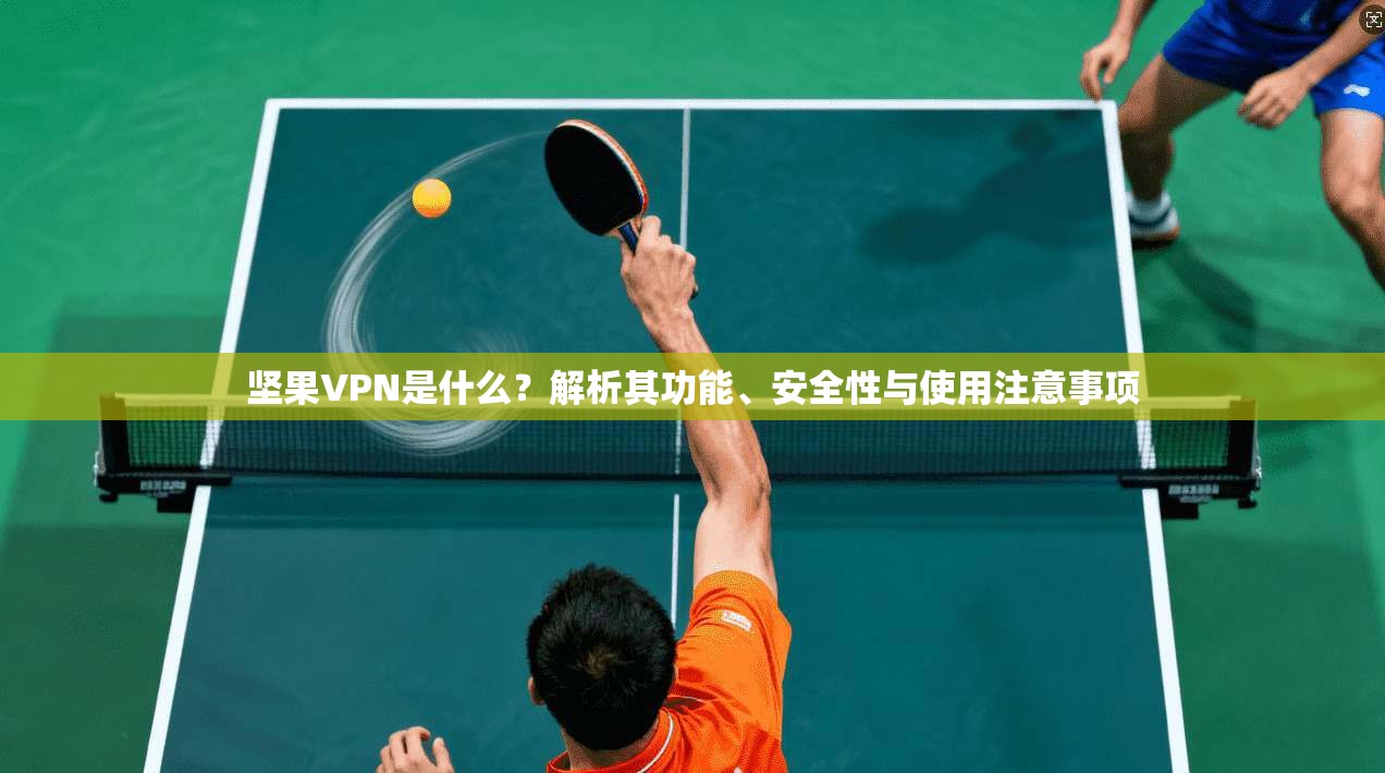 坚果VPN是什么？解析其功能、安全性与使用注意事项
