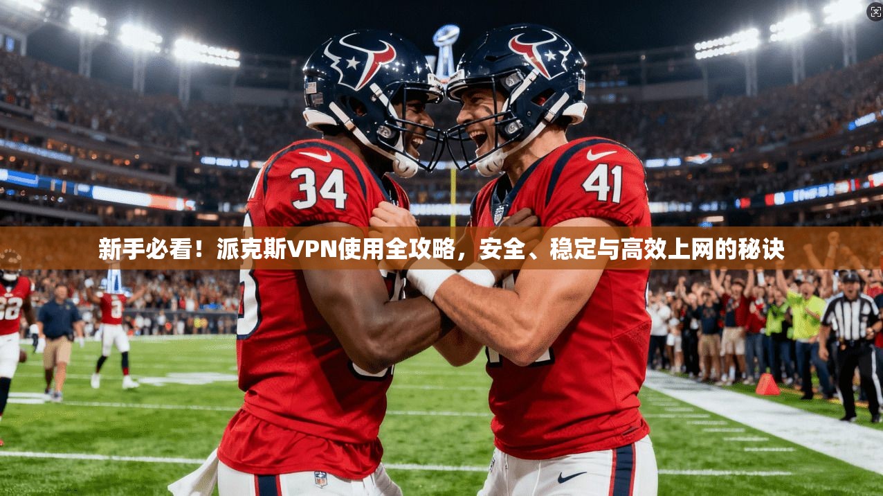 新手必看！派克斯VPN使用全攻略，安全、稳定与高效上网的秘诀