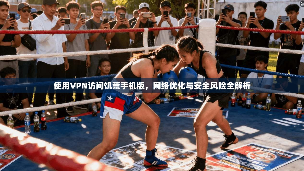 使用VPN访问饥荒手机版，网络优化与安全风险全解析