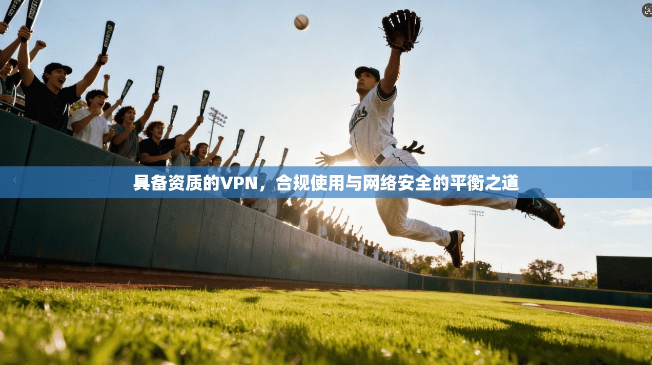 具备资质的VPN，合规使用与网络安全的平衡之道