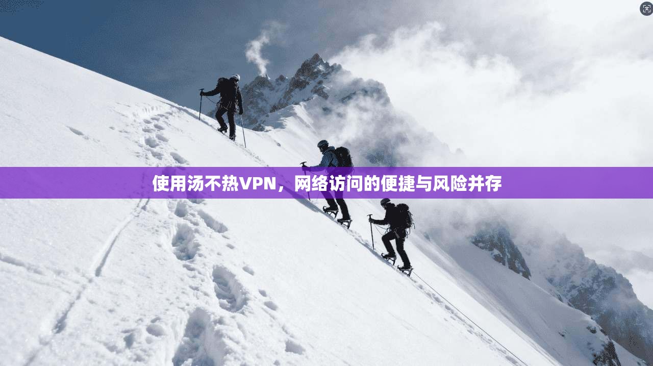 使用汤不热VPN，网络访问的便捷与风险并存