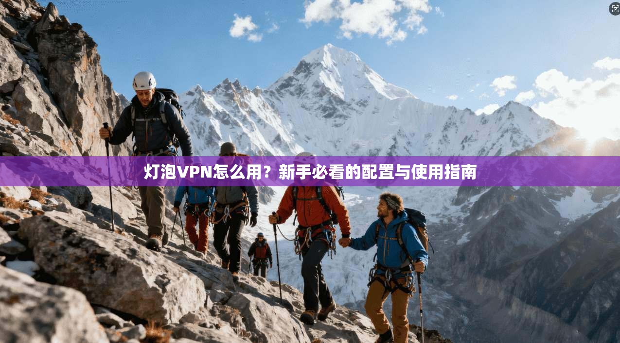 灯泡VPN怎么用？新手必看的配置与使用指南
