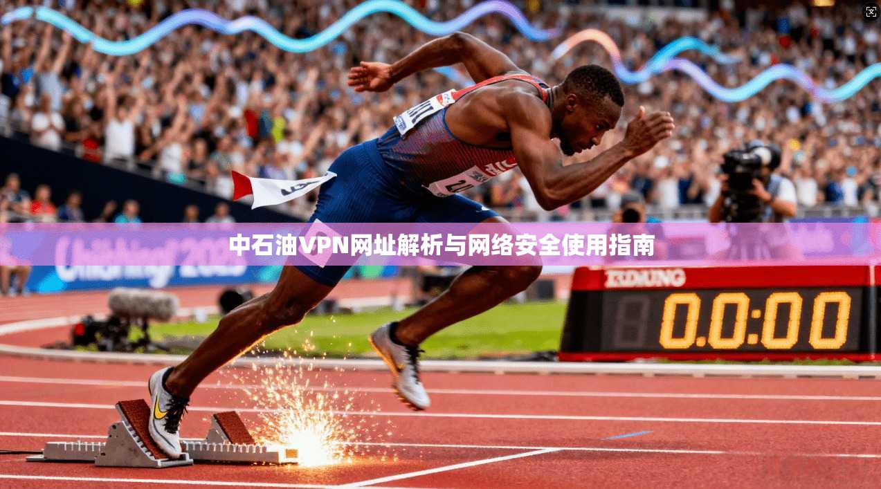 中石油VPN网址解析与网络安全使用指南