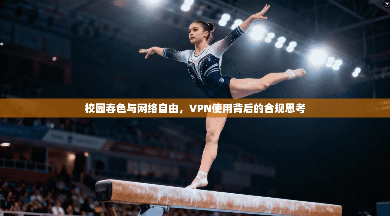 校园春色与网络自由，VPN使用背后的合规思考