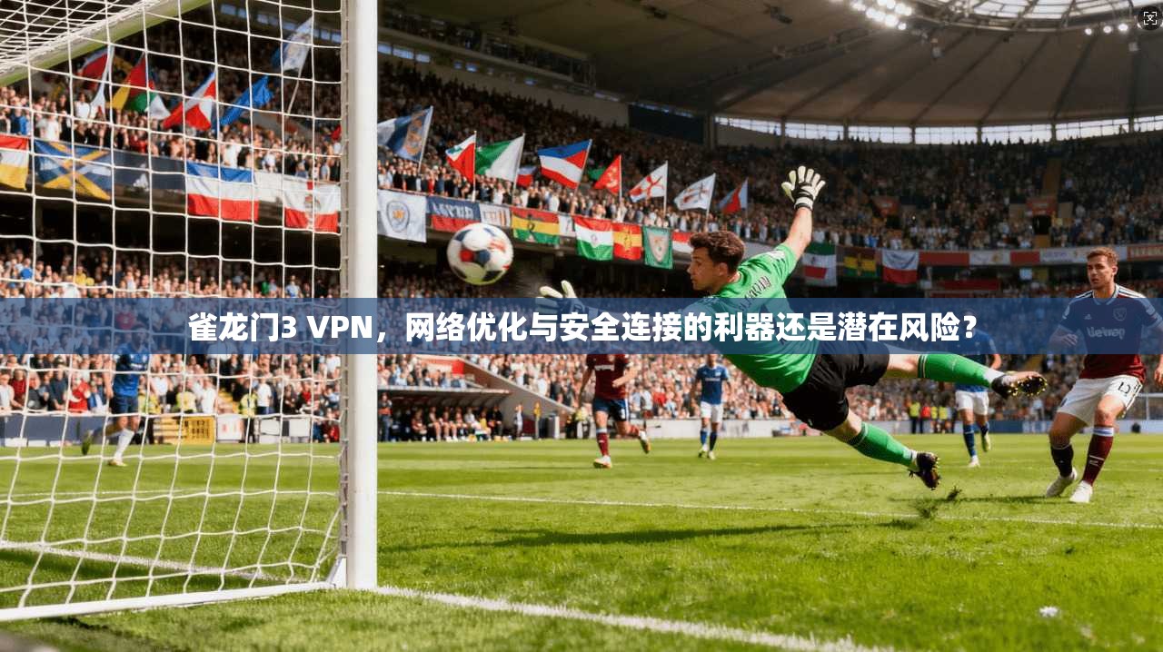雀龙门3 VPN，网络优化与安全连接的利器还是潜在风险？
