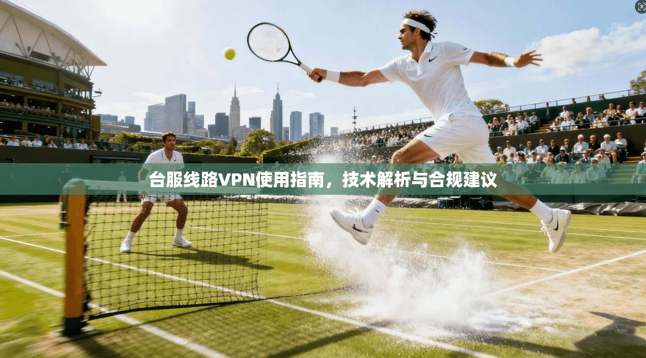 台服线路VPN使用指南，技术解析与合规建议