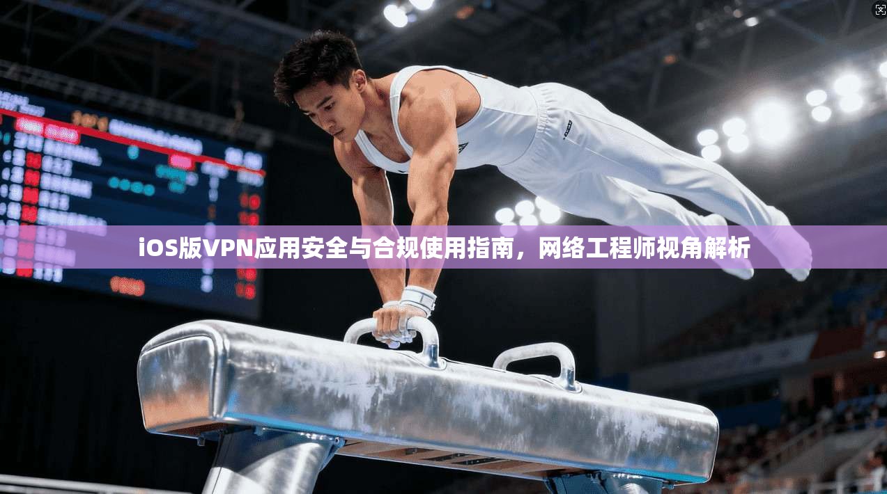 iOS版VPN应用安全与合规使用指南，网络工程师视角解析