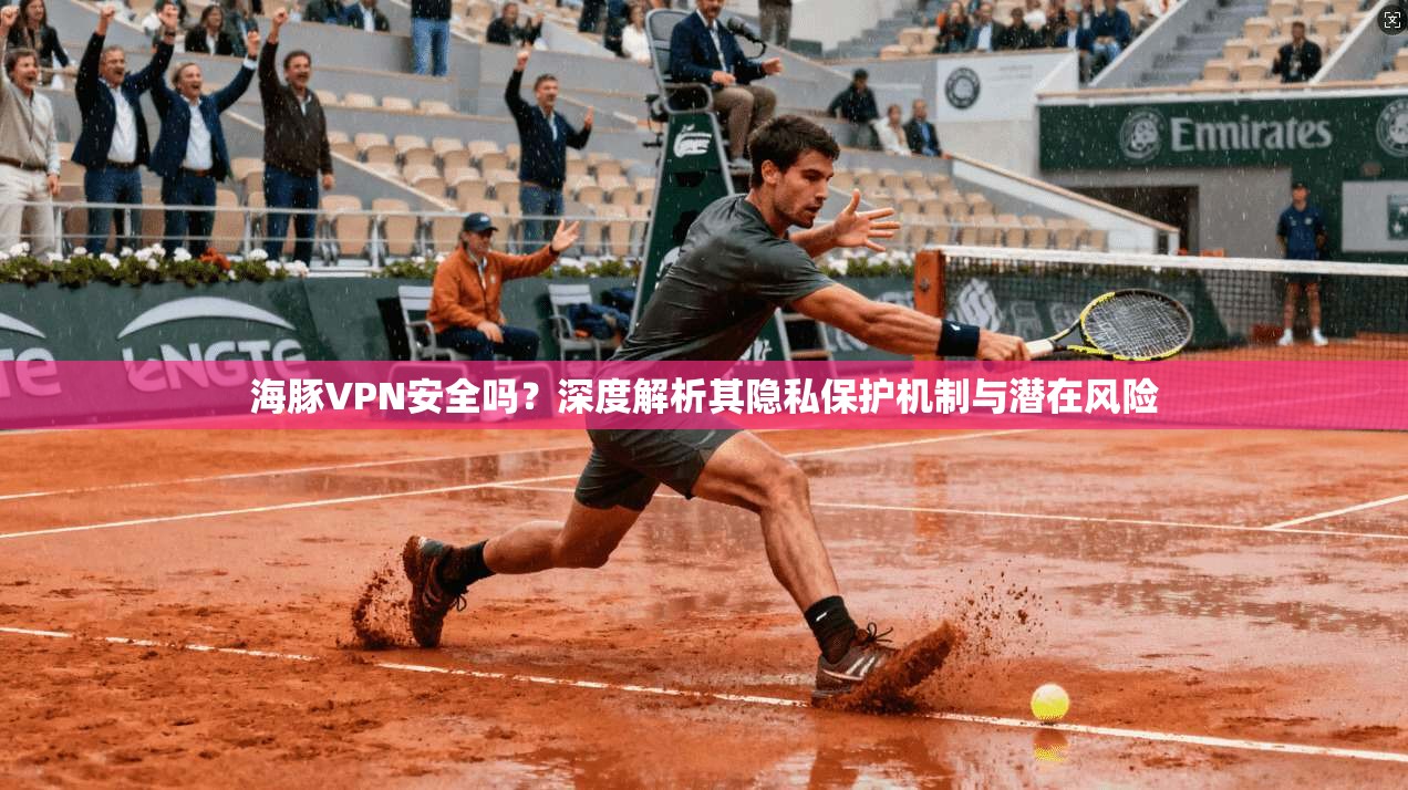 海豚VPN安全吗？深度解析其隐私保护机制与潜在风险