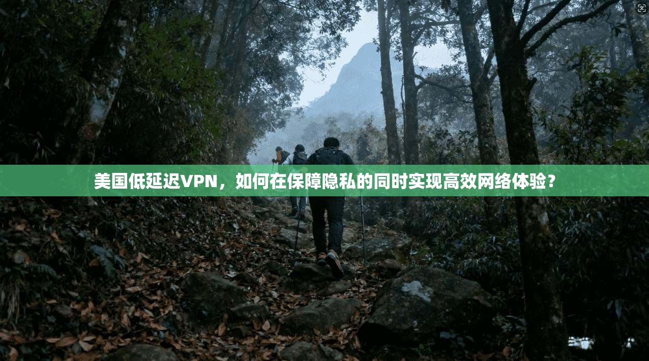 美国低延迟VPN，如何在保障隐私的同时实现高效网络体验？