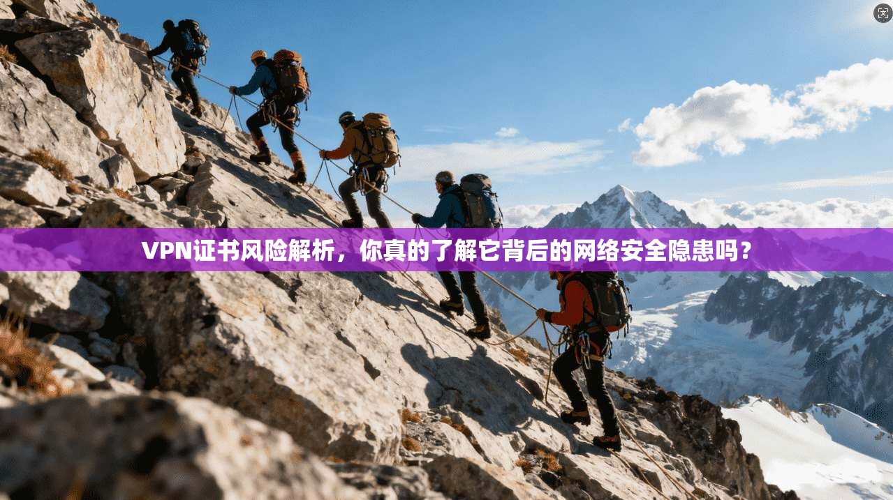 VPN证书风险解析，你真的了解它背后的网络安全隐患吗？