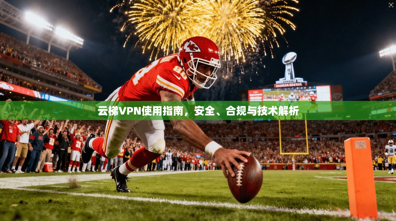 云梯VPN使用指南，安全、合规与技术解析