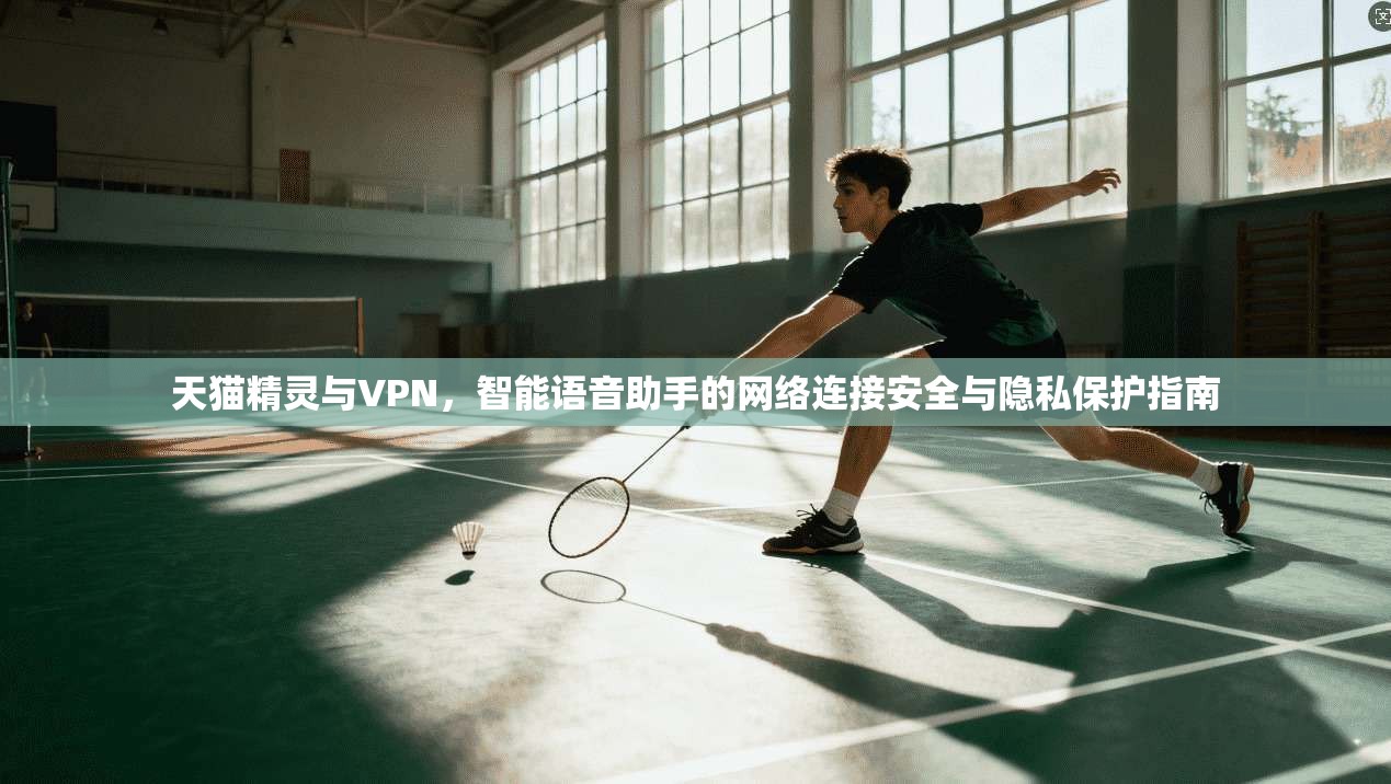 天猫精灵与VPN，智能语音助手的网络连接安全与隐私保护指南