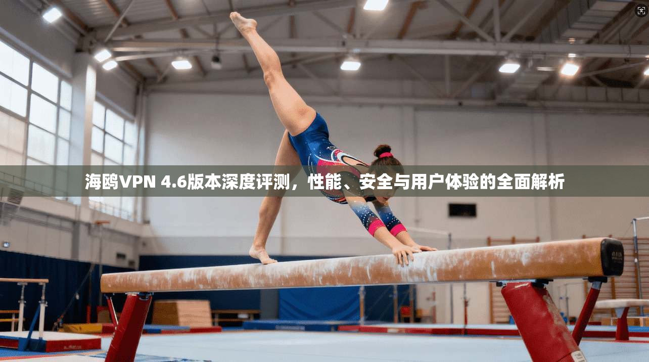 海鸥VPN 4.6版本深度评测，性能、安全与用户体验的全面解析