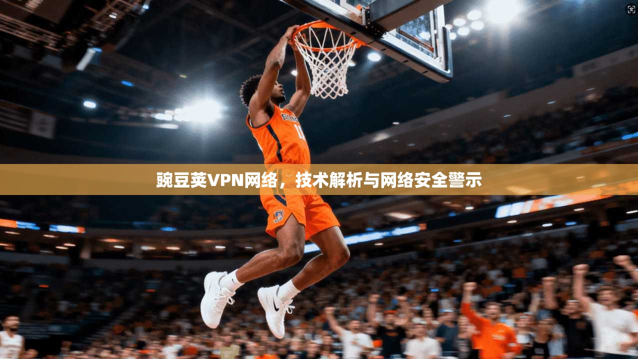 豌豆荚VPN网络，技术解析与网络安全警示
