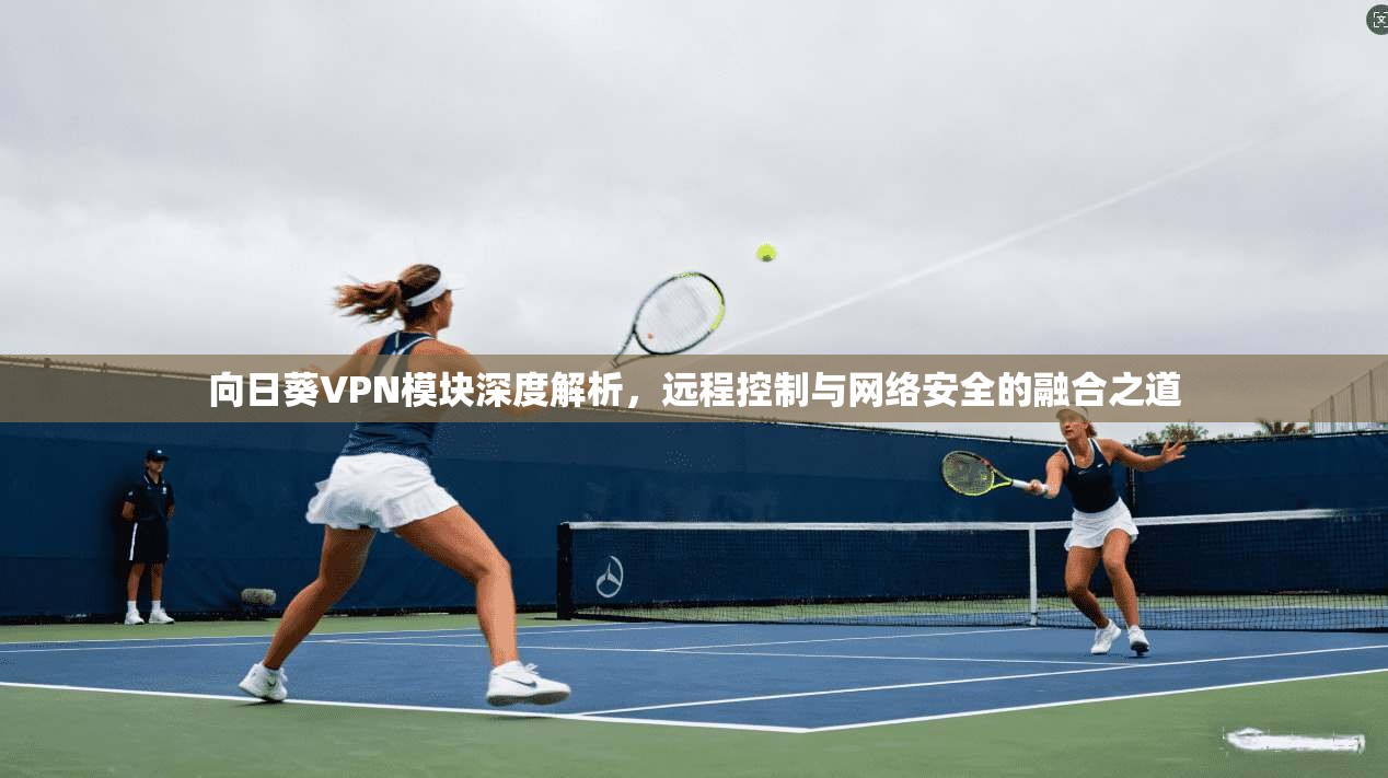 向日葵VPN模块深度解析，远程控制与网络安全的融合之道