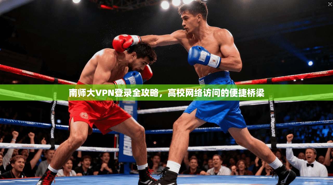 南师大VPN登录全攻略，高校网络访问的便捷桥梁