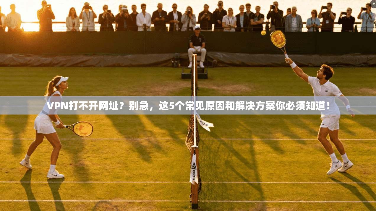 VPN打不开网址？别急，这5个常见原因和解决方案你必须知道！
