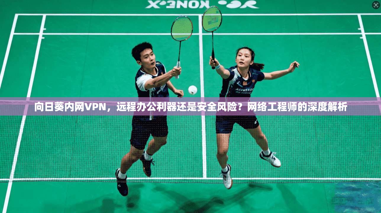 向日葵内网VPN，远程办公利器还是安全风险？网络工程师的深度解析