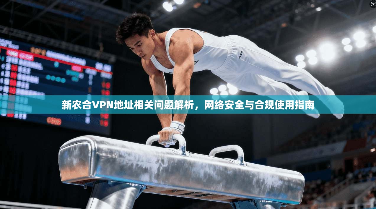 新农合VPN地址相关问题解析，网络安全与合规使用指南