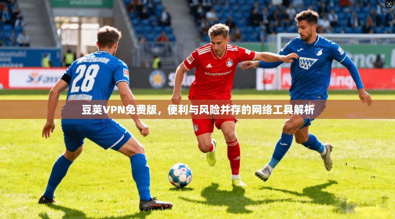 豆荚VPN免费版，便利与风险并存的网络工具解析