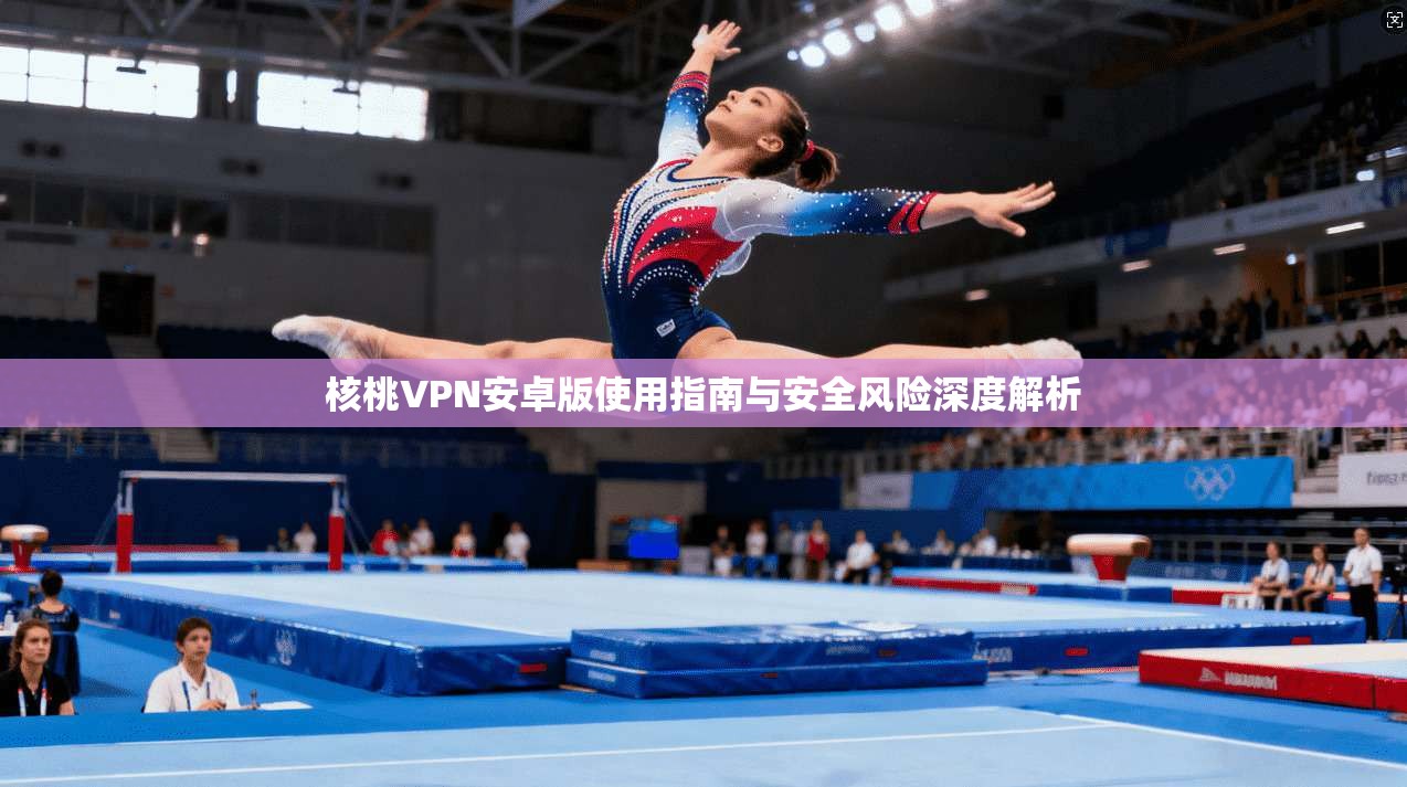 核桃VPN安卓版使用指南与安全风险深度解析