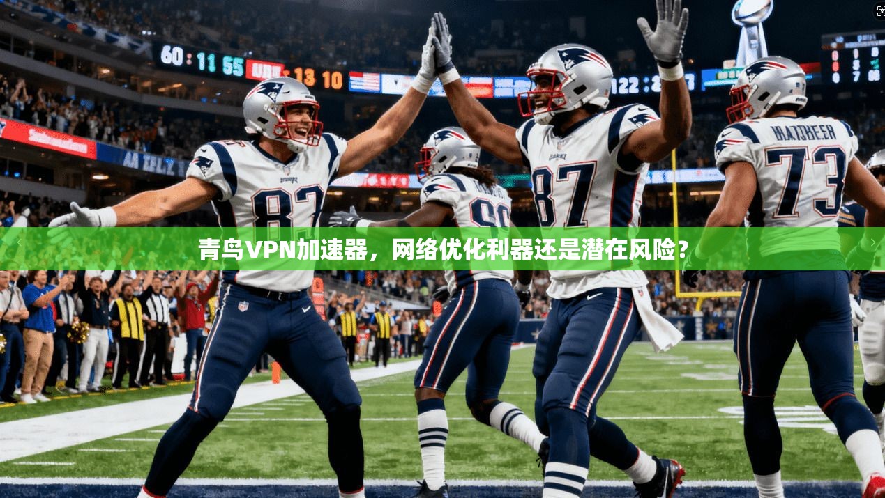 青鸟VPN加速器，网络优化利器还是潜在风险？
