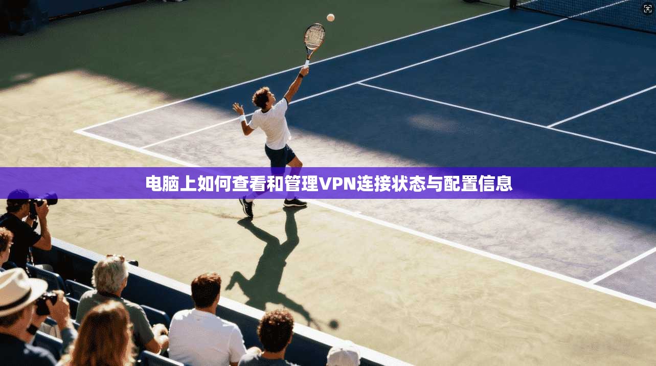 电脑上如何查看和管理VPN连接状态与配置信息