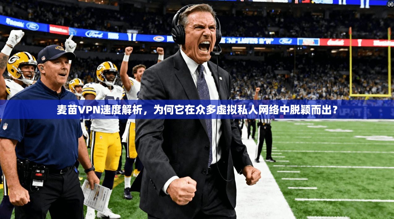 麦苗VPN速度解析，为何它在众多虚拟私人网络中脱颖而出？