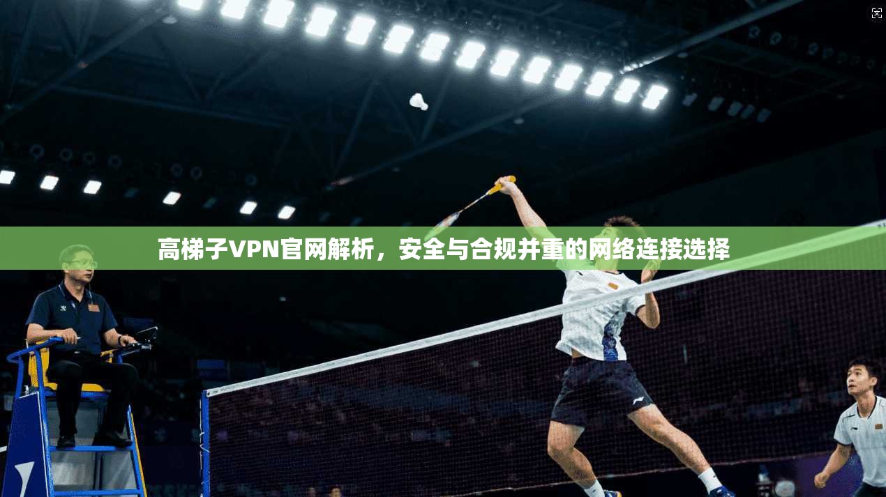 高梯子VPN官网解析，安全与合规并重的网络连接选择