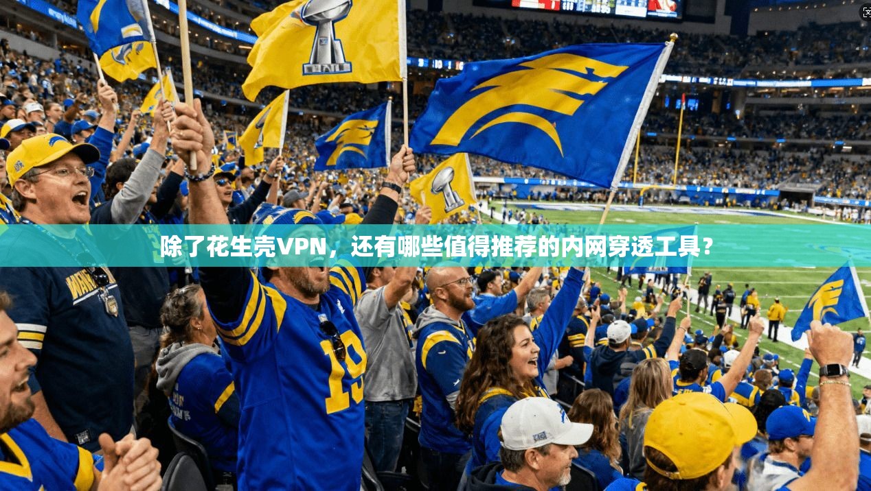 除了花生壳VPN，还有哪些值得推荐的内网穿透工具？