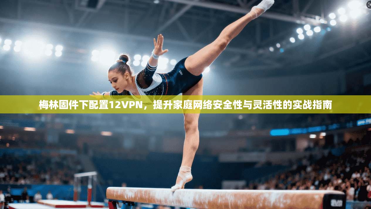 梅林固件下配置12VPN，提升家庭网络安全性与灵活性的实战指南