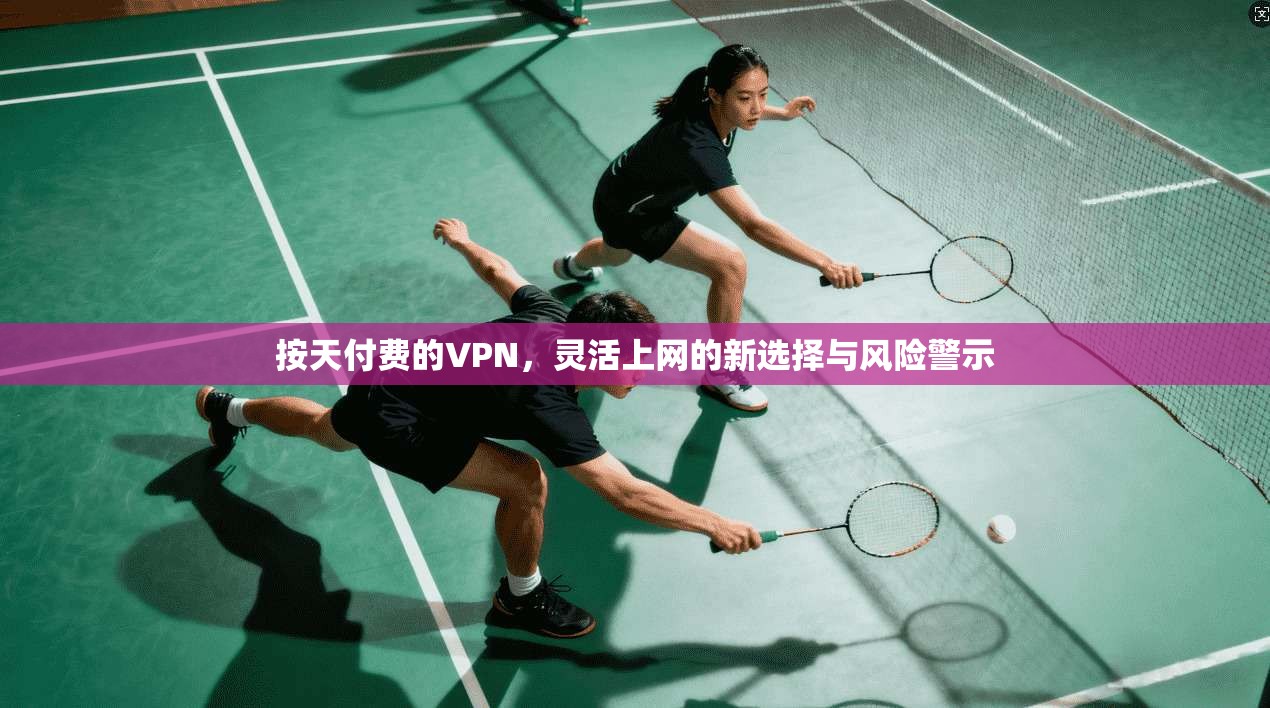 按天付费的VPN，灵活上网的新选择与风险警示
