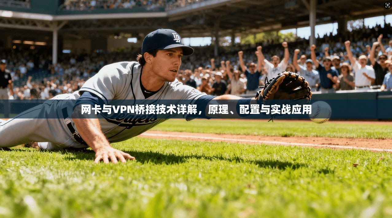 网卡与VPN桥接技术详解，原理、配置与实战应用