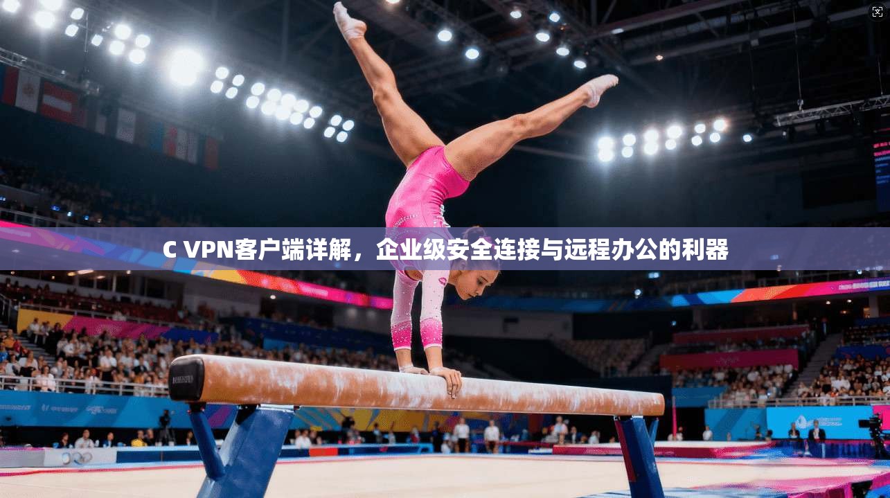 C VPN客户端详解，企业级安全连接与远程办公的利器
