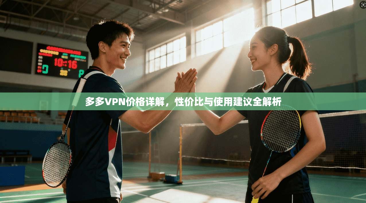多多VPN价格详解，性价比与使用建议全解析