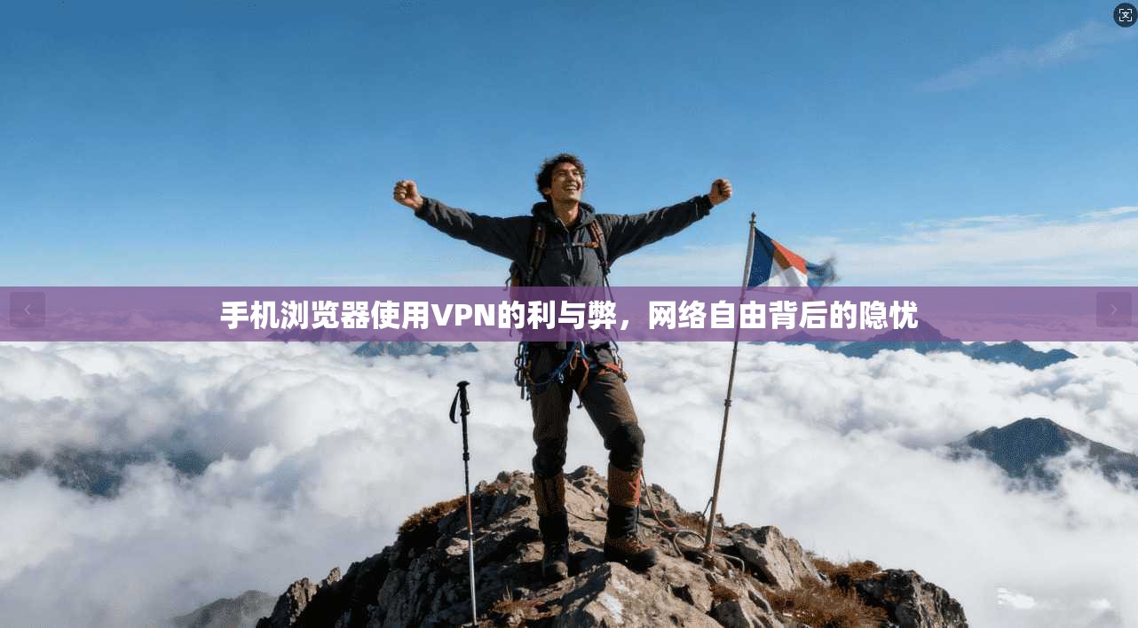 手机浏览器使用VPN的利与弊，网络自由背后的隐忧