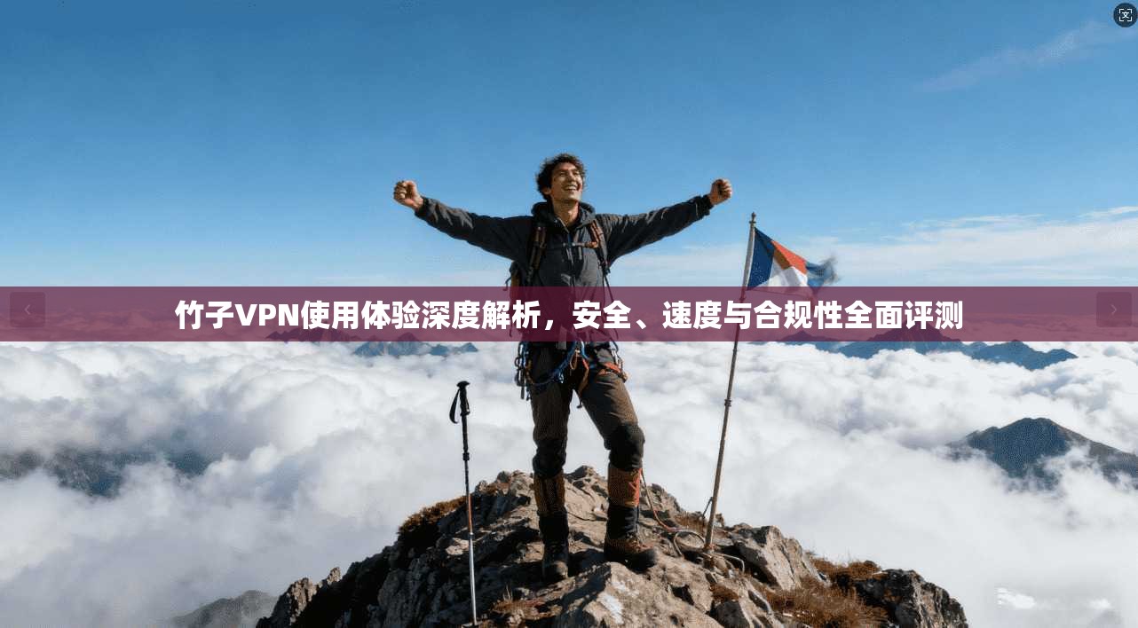 竹子VPN使用体验深度解析，安全、速度与合规性全面评测